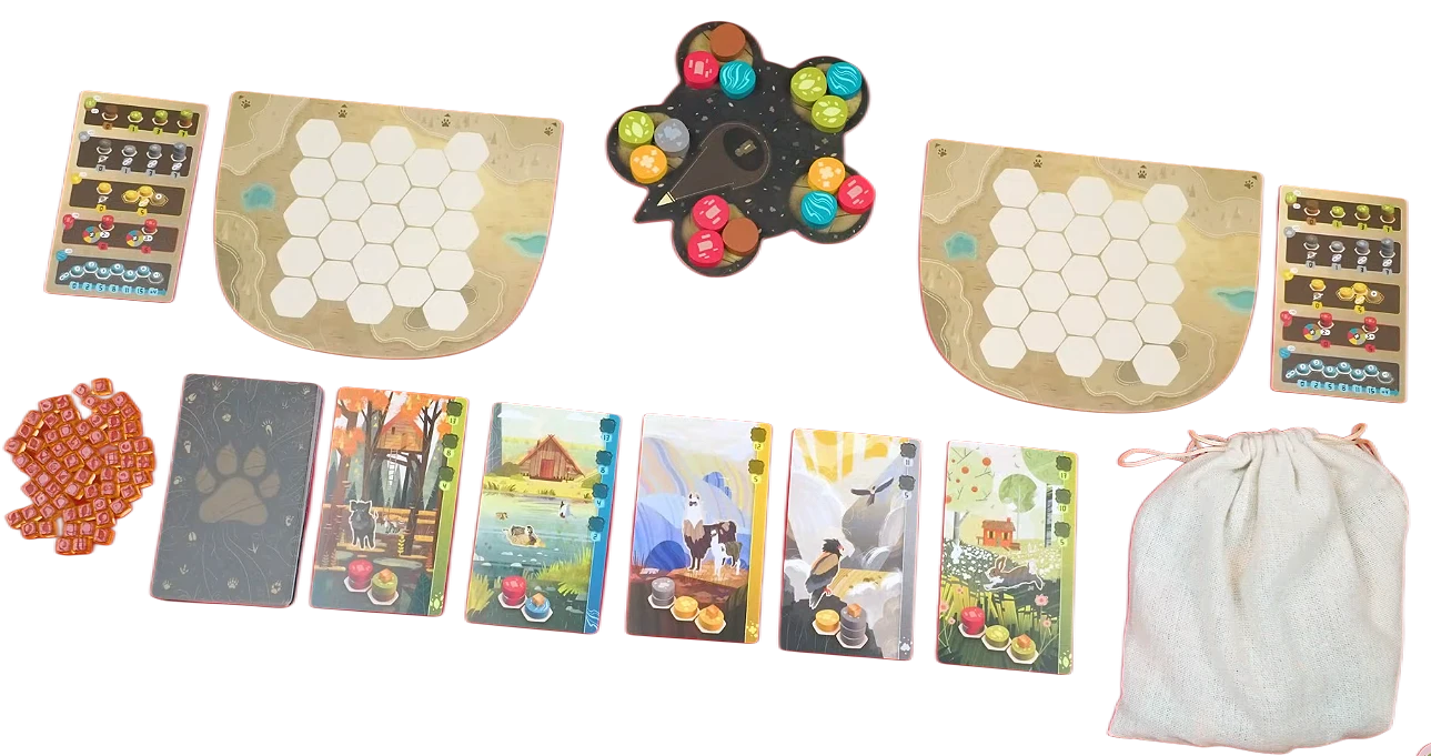 ستاپ بازی هارمونیز Harmonies boardgame setup